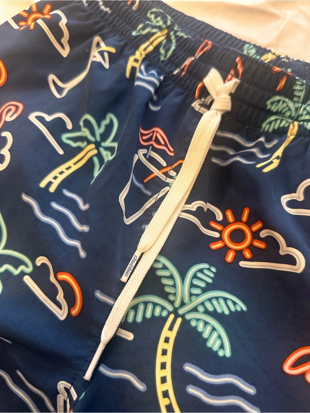 chubbies men swim